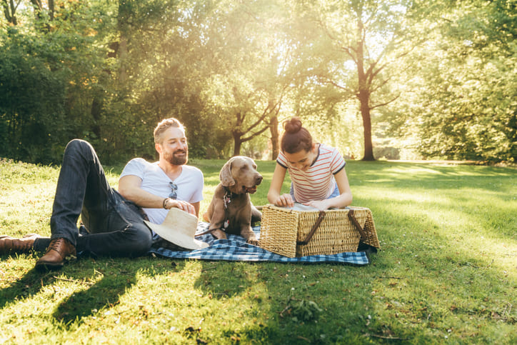 Picknick in der Westpfalz