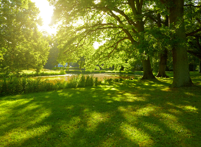 Die schönsten Parks der Westpfalz